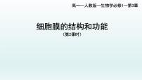 3.1细胞膜的结构和功能（第二课时  ）课件--高一上学期生物人教版必修1