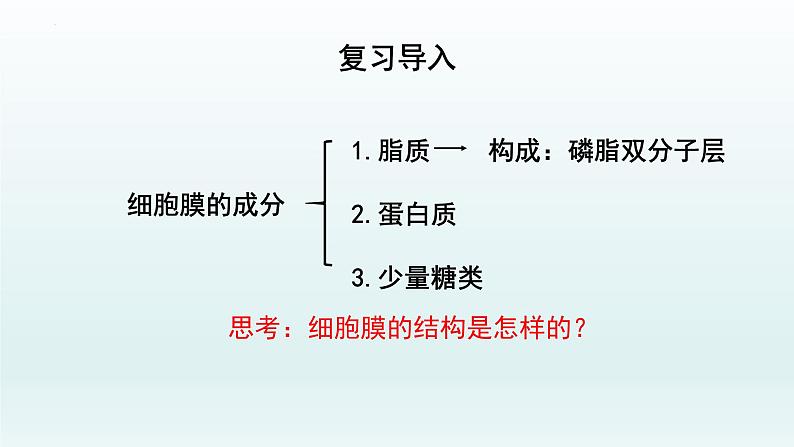 3.1细胞膜的结构和功能（第二课时  ）课件--高一上学期生物人教版必修1第4页