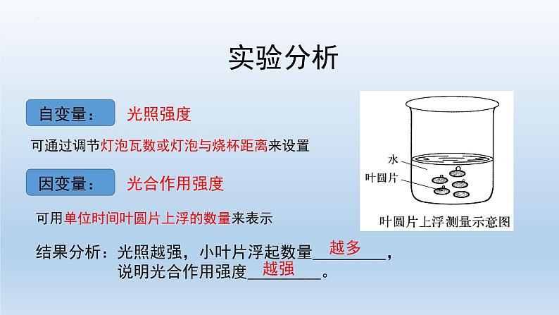 5.4光合作用与能量转化（第四课时）--高一上学期生物人教版（2019）必修1 课件06