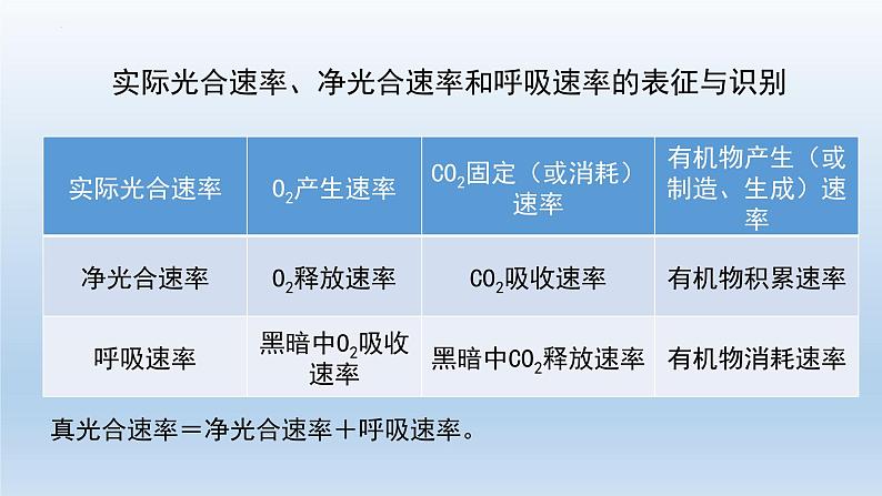 5.4光合作用与能量转化（第四课时）--高一上学期生物人教版（2019）必修1 课件08