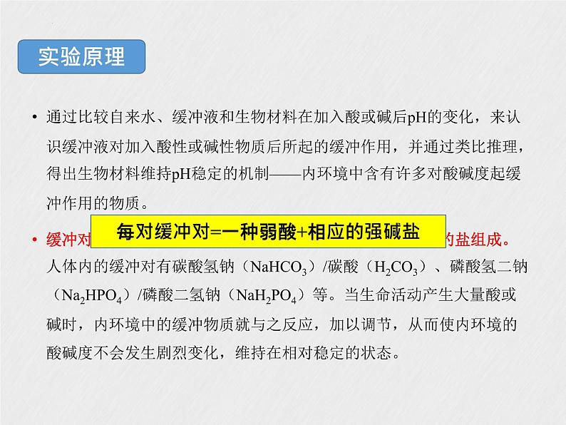 1.2.1探究实践：模拟生物体维持pH的稳定课件--高二上学期生物人教版选择性必修1第2页