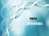 高三一轮复习生物：专题1-遗传的细胞基础（减数分裂&有丝分裂）课件