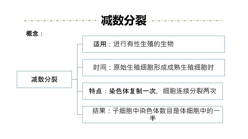 高三一轮复习生物：专题1-遗传的细胞基础（减数分裂&有丝分裂）课件第3页