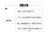 高三一轮复习生物：专题1-遗传的细胞基础（减数分裂&有丝分裂）课件