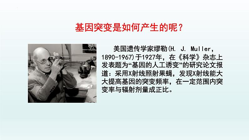 5.1.2 基因突变和基因重组课件--高一下学期生物人教版必修2第3页