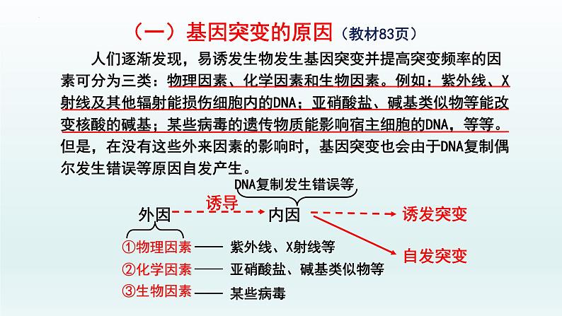 5.1.2 基因突变和基因重组课件--高一下学期生物人教版必修2第4页