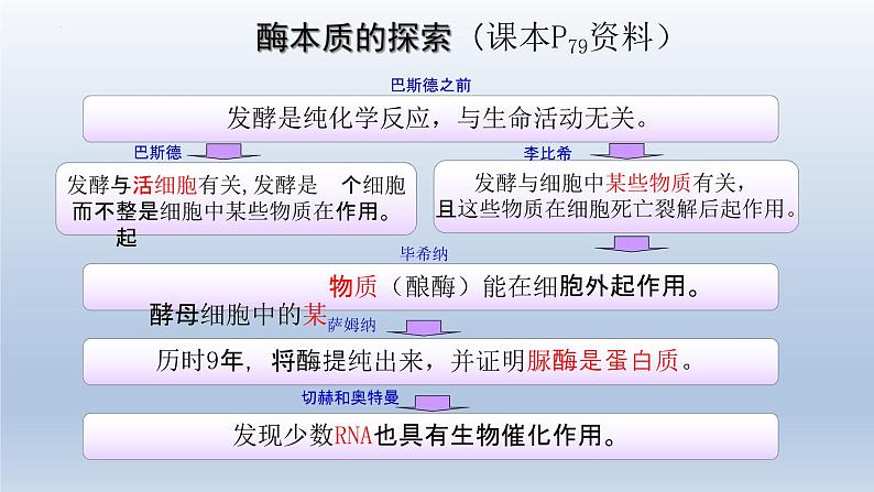 5.1 降低化学反应活化能的酶（第二课时）课件--高一上学期生物人教版（2019）必修1第5页