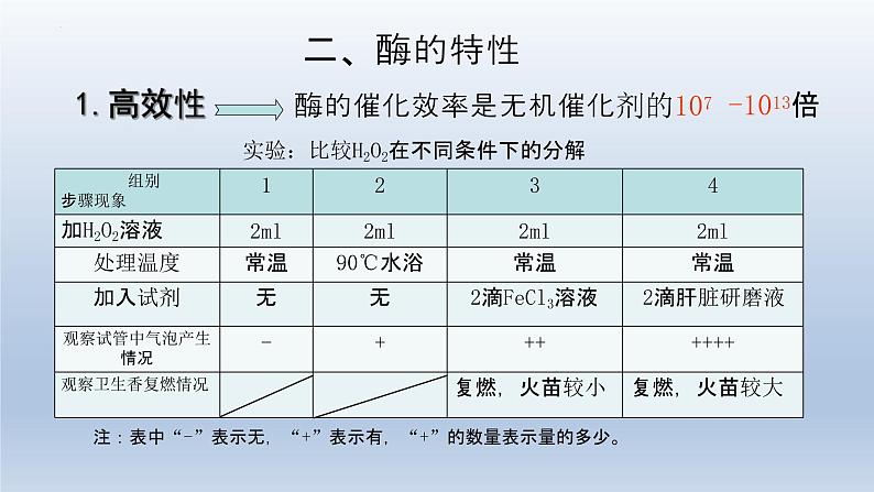 5.1 降低化学反应活化能的酶（第二课时）课件--高一上学期生物人教版（2019）必修1第7页