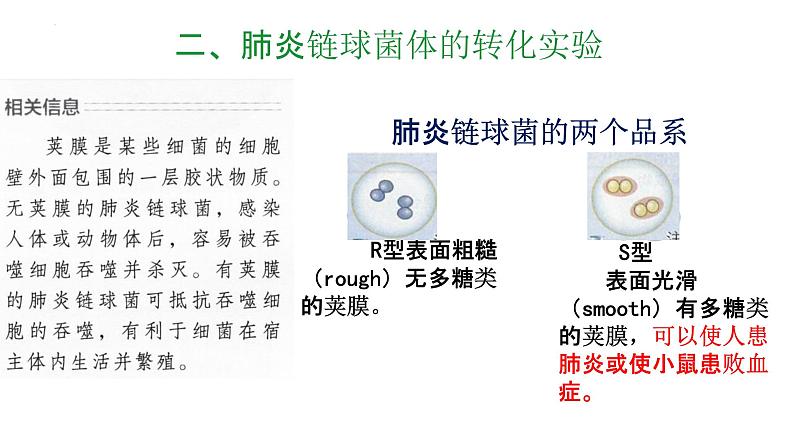 3.1DNA是主要的遗传物质（1）课件--高一下学期生物人教版必修205