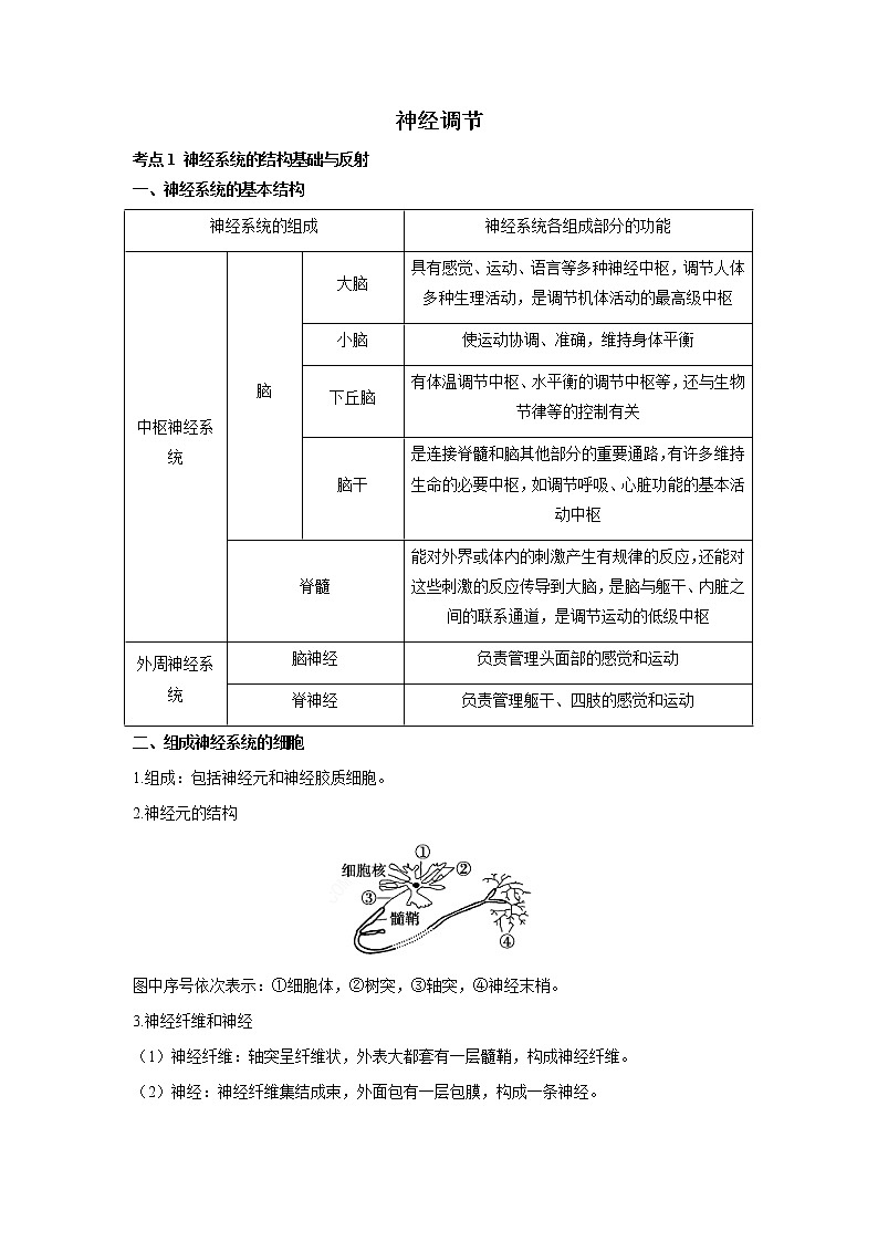 高考生物一轮复习  知识归纳神经调节01