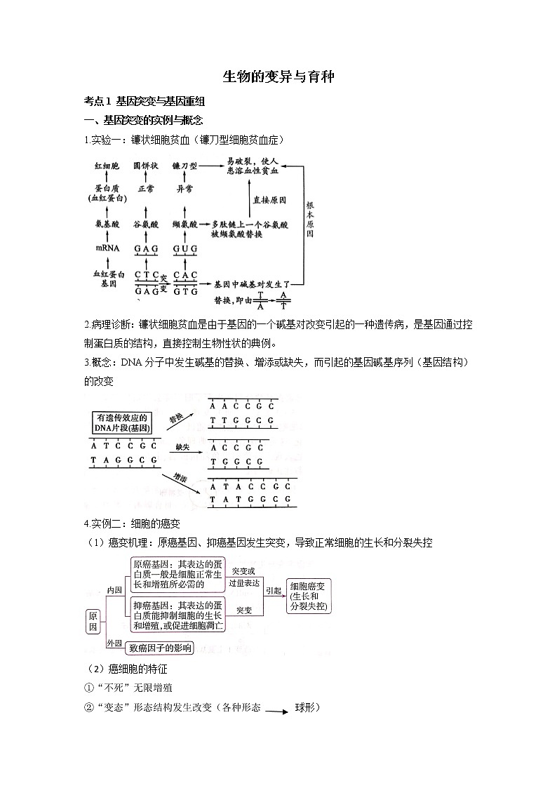 高考生物一轮复习  知识归纳生物的变异与育种第1页