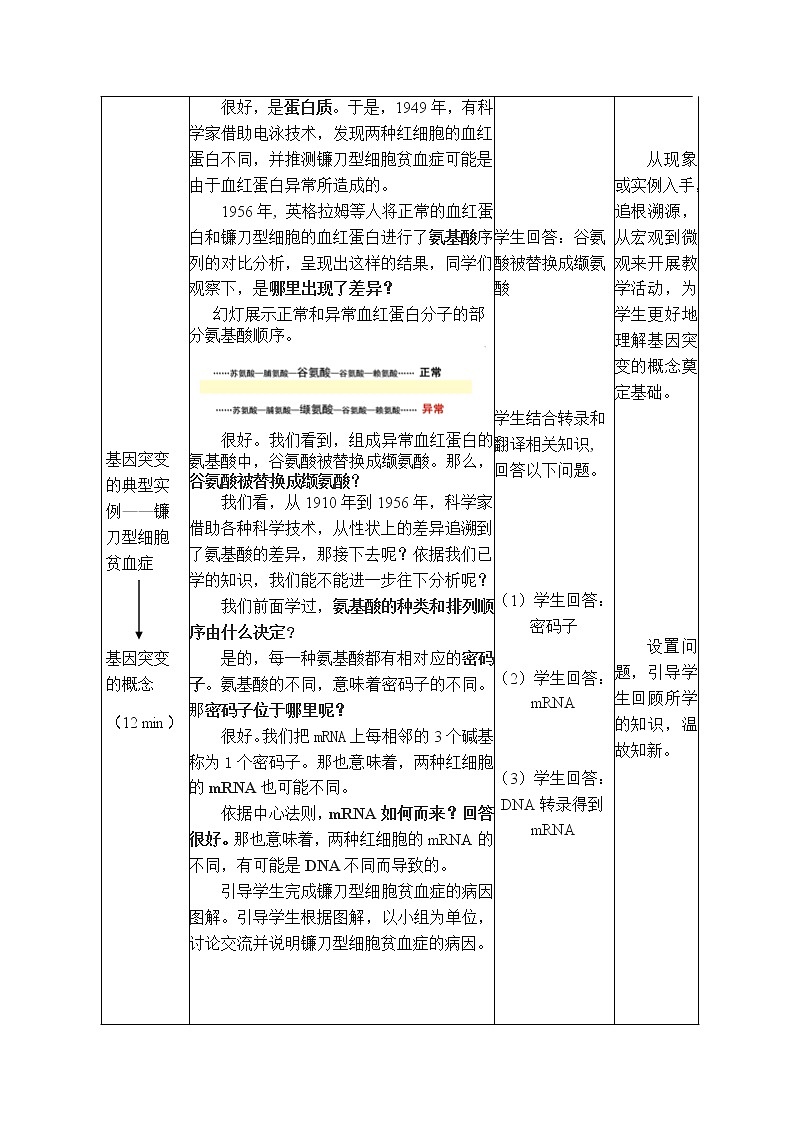 5.1基因突变和基因重组（第1课时）教案--高一下学期生物人教版必修2第3页