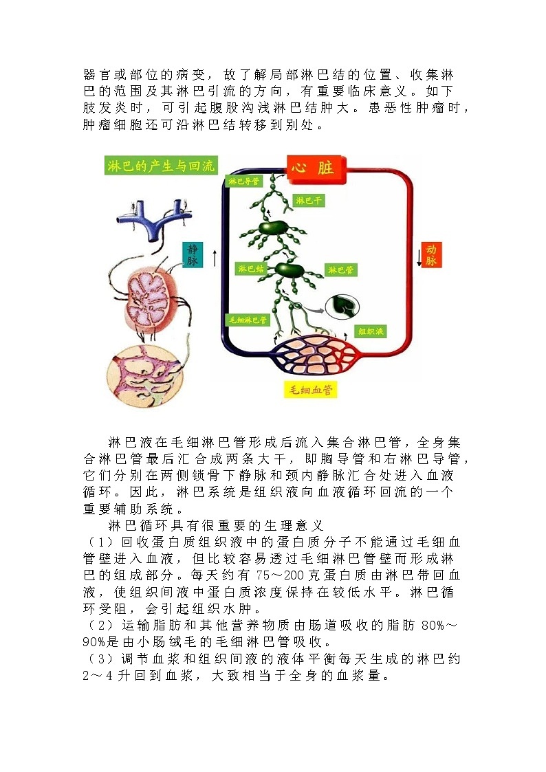 备课素材：淋巴循环及其回流的动力--高二上学期生物人教版选择性必修1第2页