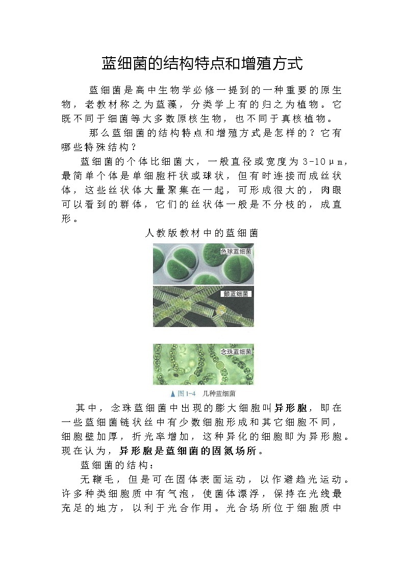 备课素材：蓝细菌的结构特点和增殖方式--高一上学期生物人教版必修1第1页