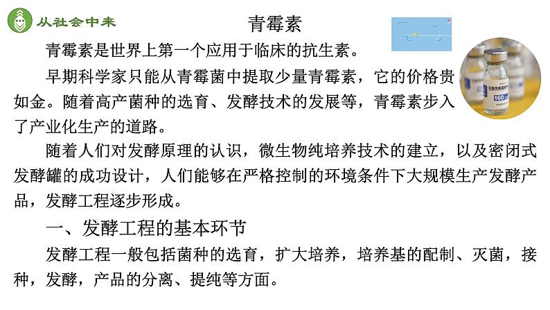 1.3发酵工程及其应用课件--高二下学期生物人教版选择性必修302