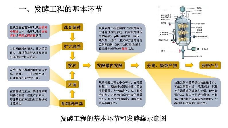 1.3发酵工程及其应用课件--高二下学期生物人教版选择性必修303