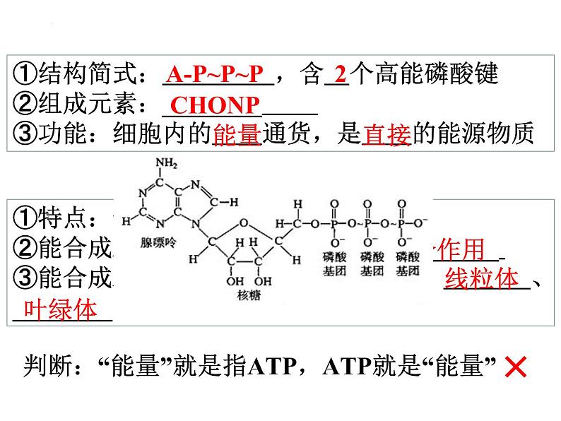 高三一轮复习生物：ATP、物质出入细胞的方式课件第3页