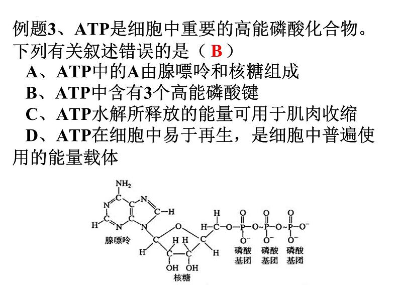 高三一轮复习生物：ATP、物质出入细胞的方式课件第5页