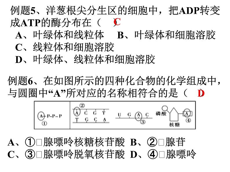 高三一轮复习生物：ATP、物质出入细胞的方式课件第7页