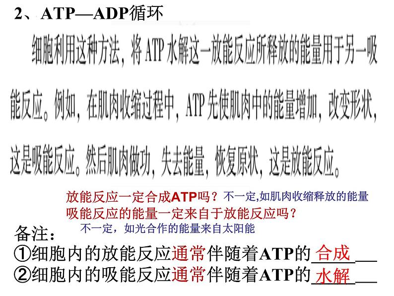 高三一轮复习生物：ATP、物质出入细胞的方式课件第8页