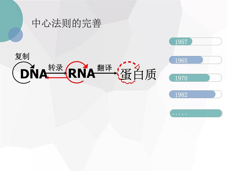 4.2基因对性状的控制课件--高一下学期生物人教版必修206