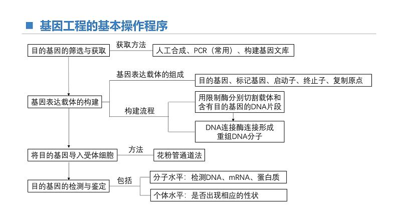 高中生物 基因工程的基本操作步骤（第2课时）课件02