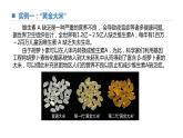 高中生物 基因工程的基本操作步骤（第2课时）课件