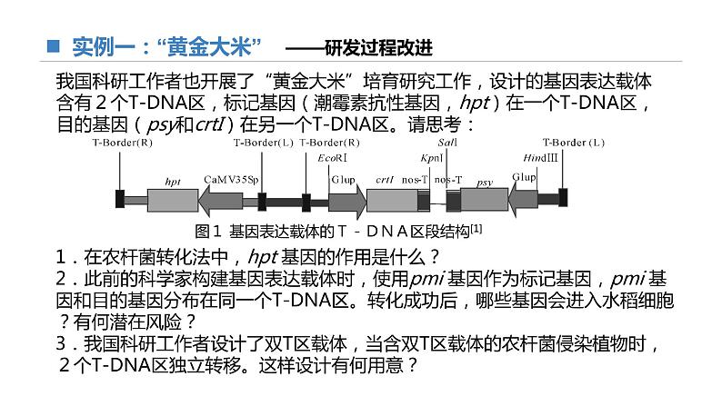 高中生物 基因工程的基本操作步骤（第2课时）课件07