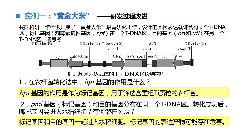 高中生物 基因工程的基本操作步骤（第2课时）课件08