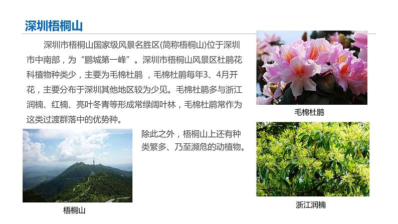 高中生物 影响种群数量变化的因素 （ppt） 课件03