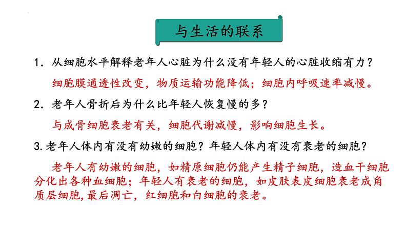 6.3细胞的衰老和死亡课件--高一上学期生物人教版必修105