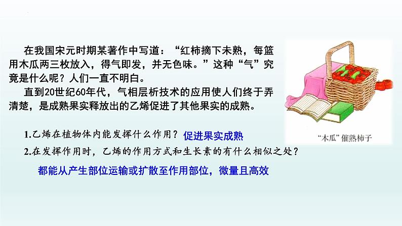 5.2 其他植物激素课件--高二上学期生物人教版选择性必修1第2页