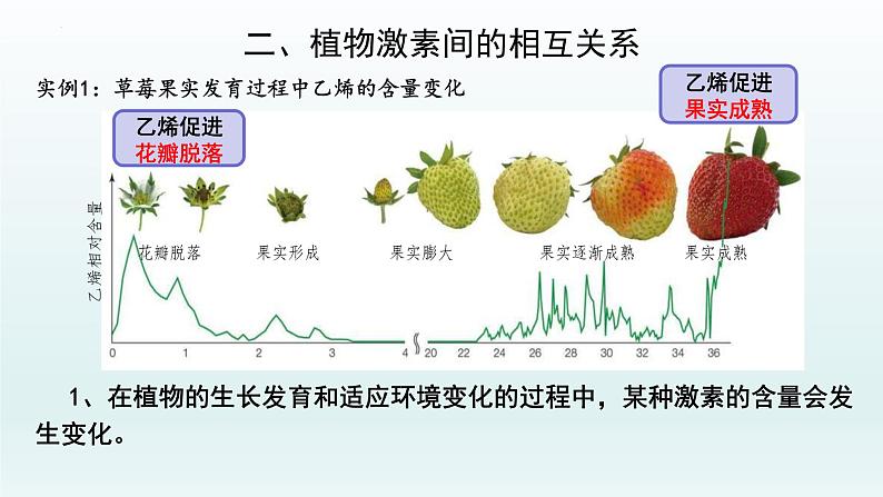 5.2 其他植物激素课件--高二上学期生物人教版选择性必修1第7页