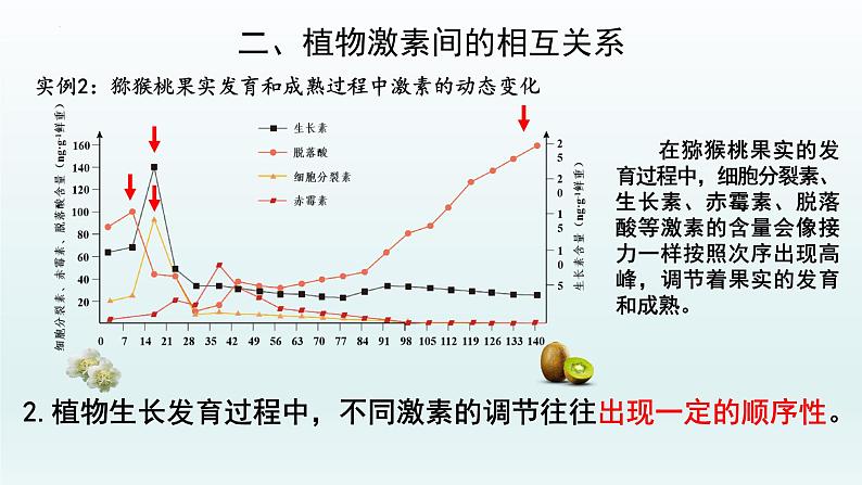 5.2 其他植物激素课件--高二上学期生物人教版选择性必修1第8页