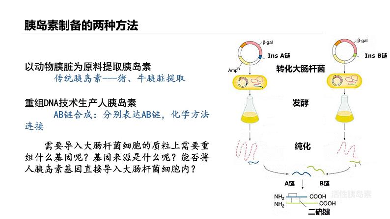 高中生物 蛋白质工程的原理和应用 蛋白质工程 课件第6页