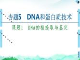 专题5  课题1 DNA的粗提取与鉴定--高中生物选修1--同步课件PPT(人教版)