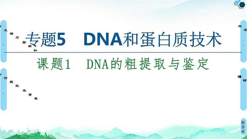 专题5  课题1 DNA的粗提取与鉴定--高中生物选修1--同步课件PPT(人教版)01