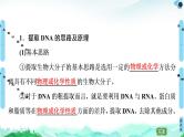 专题5  课题1 DNA的粗提取与鉴定--高中生物选修1--同步课件PPT(人教版)