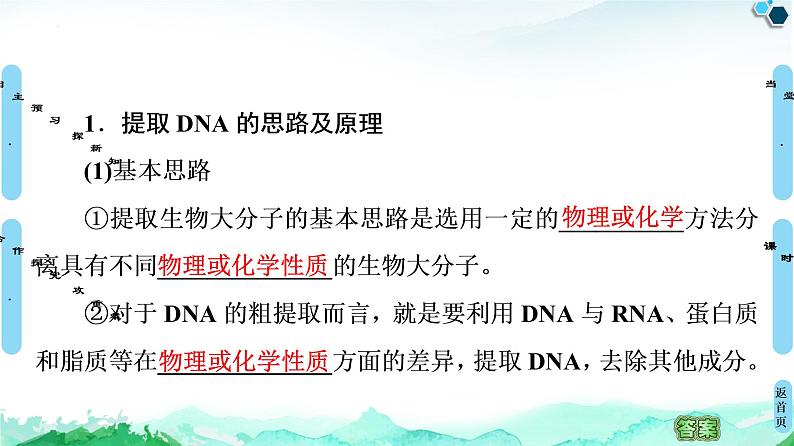 专题5  课题1 DNA的粗提取与鉴定--高中生物选修1--同步课件PPT(人教版)04