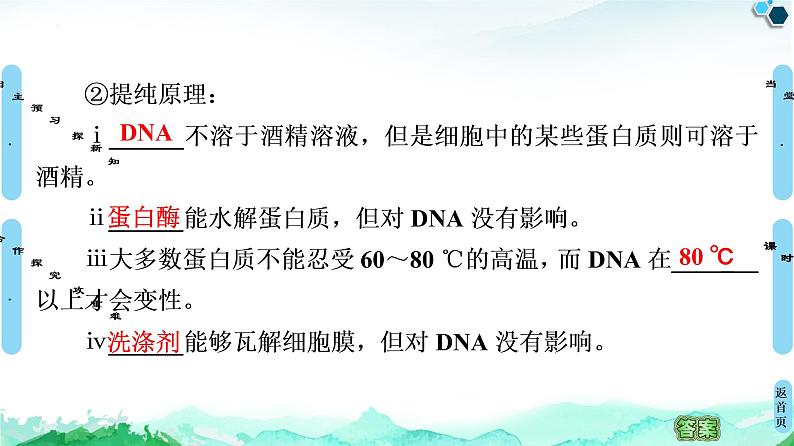 专题5  课题1 DNA的粗提取与鉴定--高中生物选修1--同步课件PPT(人教版)06