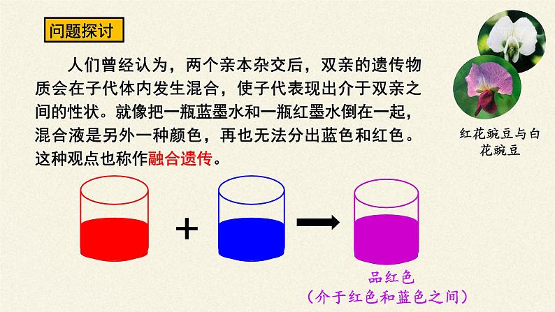 高中生物 孟德尔的豌豆杂交实验(一)  课件06