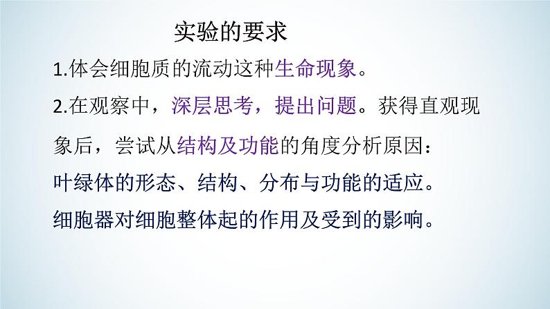 高中生物 探究实践：用高倍显微镜观察叶绿体和细胞质的流动 课件02