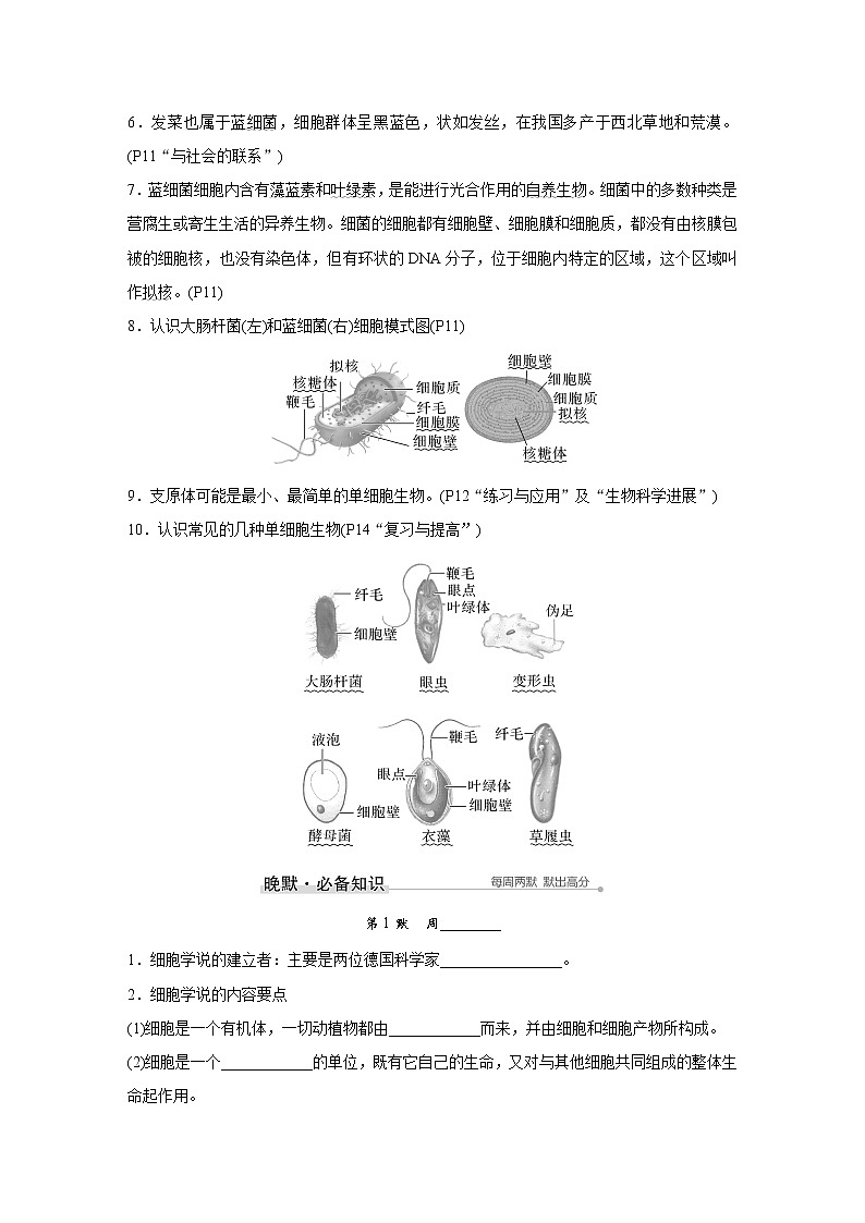 2023版创新设计高考生物（新教材人教版）总复习一轮讲义晨读晚默内文第3页