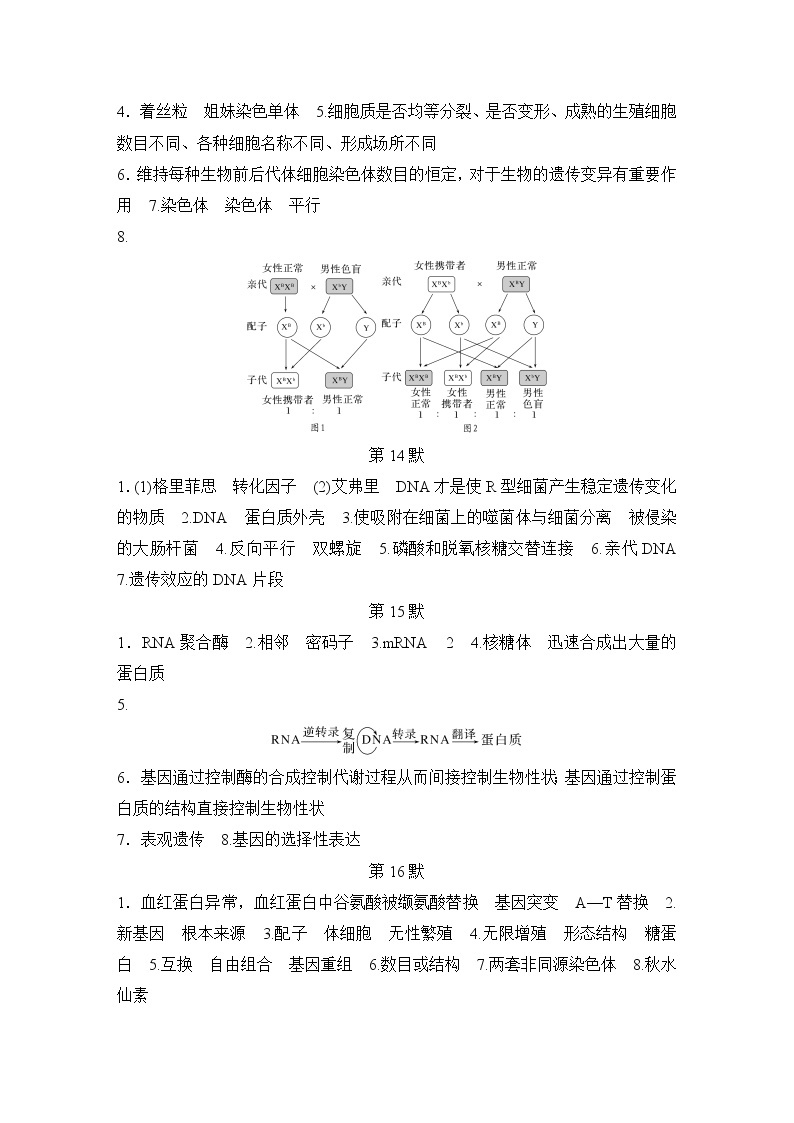 晨背晚默 生物学（人教版新教材） 讲义03