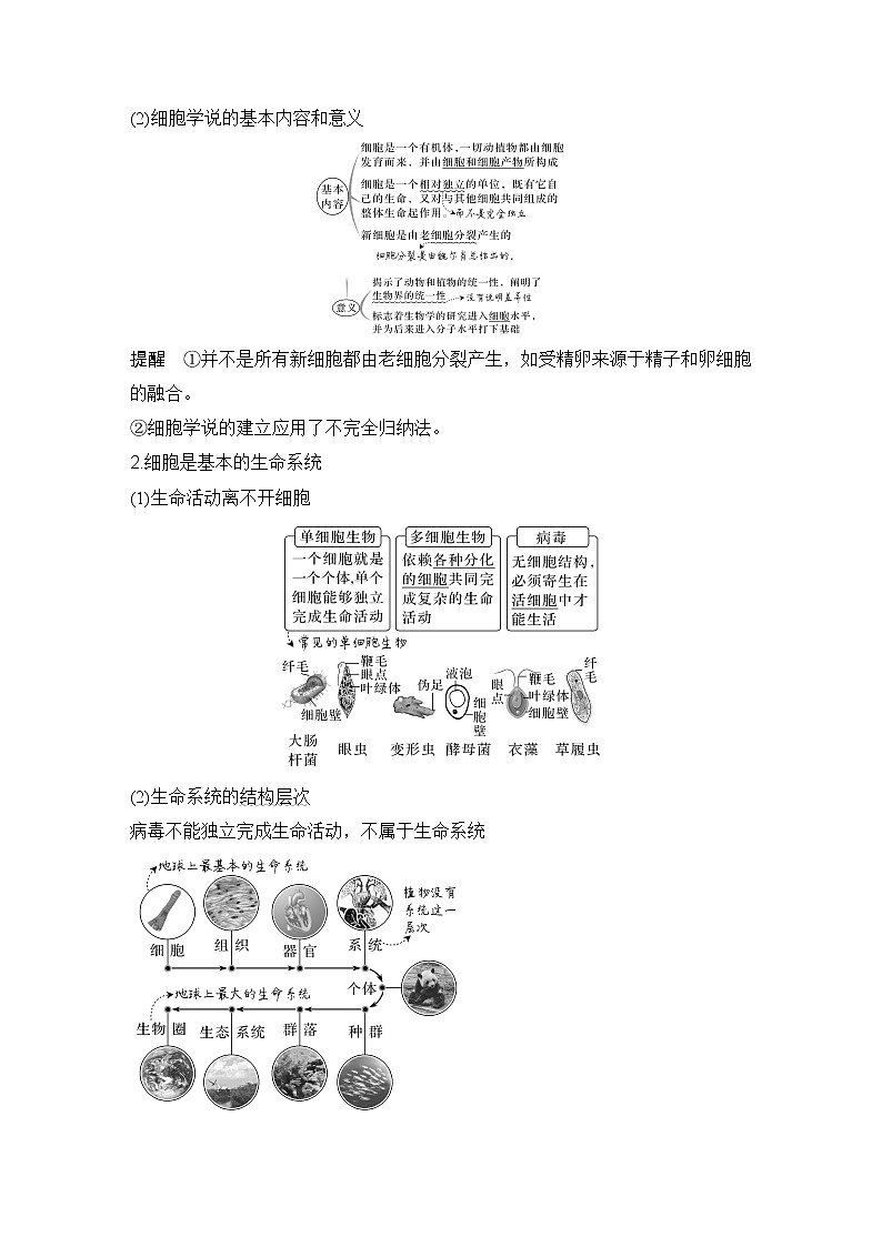 2023版创新设计高考生物（新教材人教版）总复习一轮讲义第1讲 借助显微镜走近细胞第2页