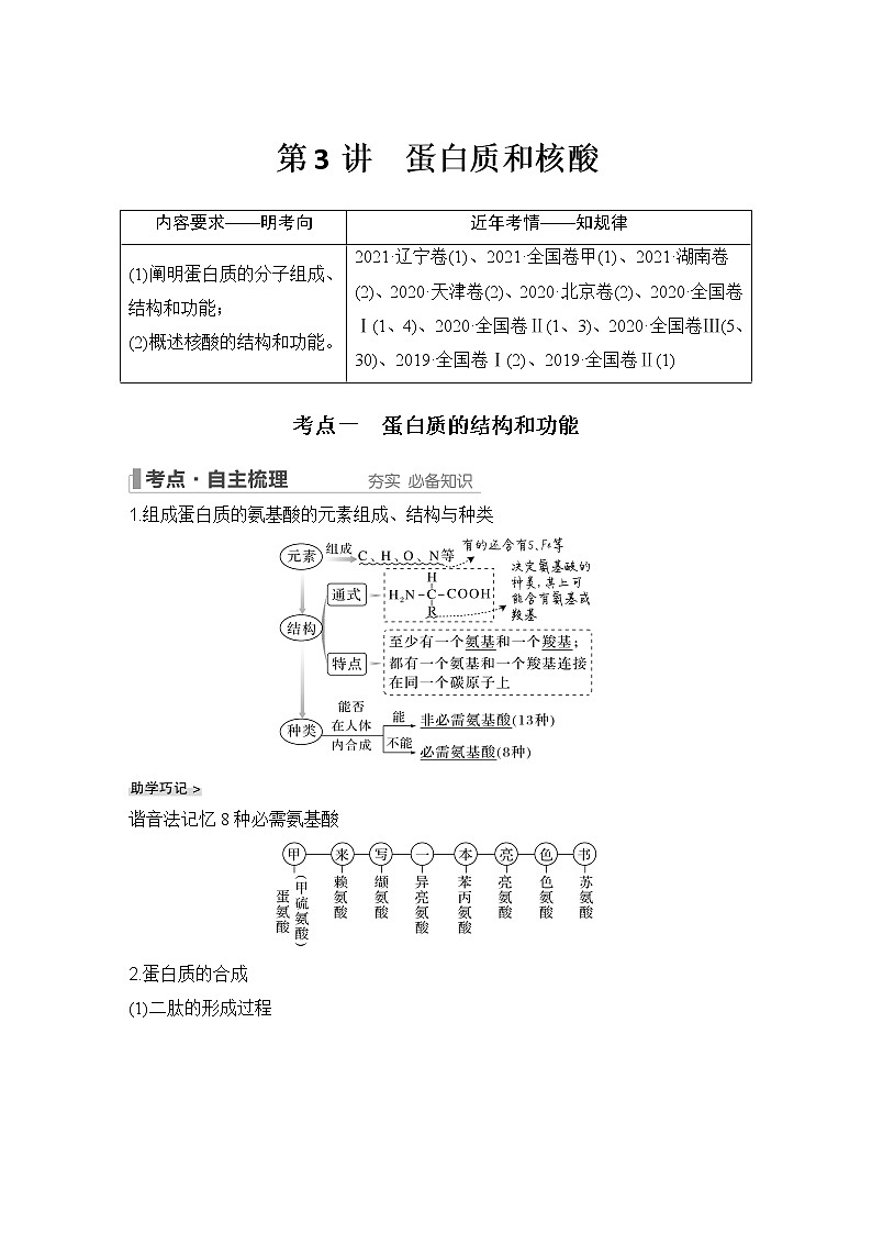 2023版创新设计高考生物（新教材人教版）总复习一轮讲义第3讲 蛋白质和核酸01