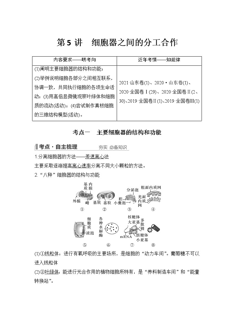 2023版创新设计高考生物（新教材人教版）总复习一轮讲义第5讲 细胞器之间的分工合作第1页