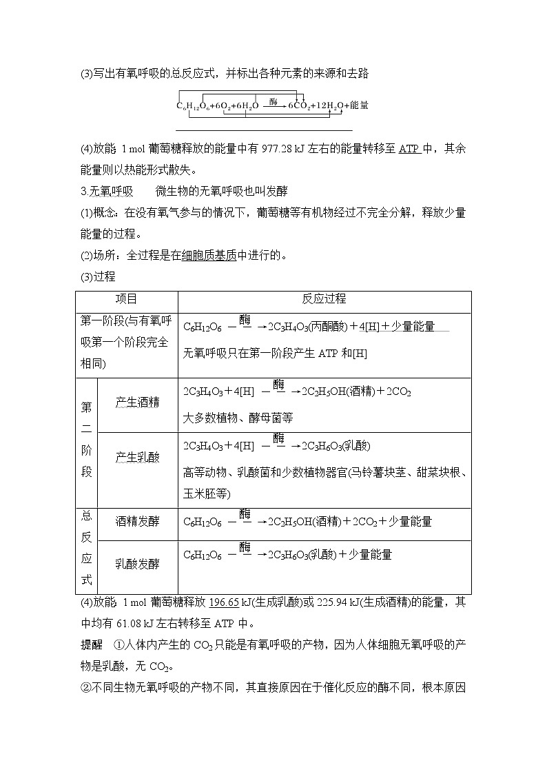 2023版创新设计高考生物（新教材人教版）总复习一轮讲义第8讲 细胞呼吸02