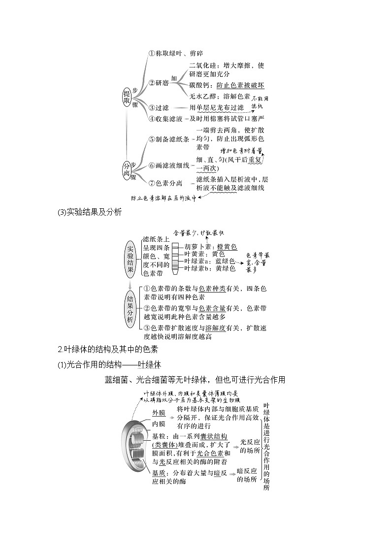 2023版创新设计高考生物（新教材人教版）总复习一轮讲义第9讲 光合作用与能量转化第2页