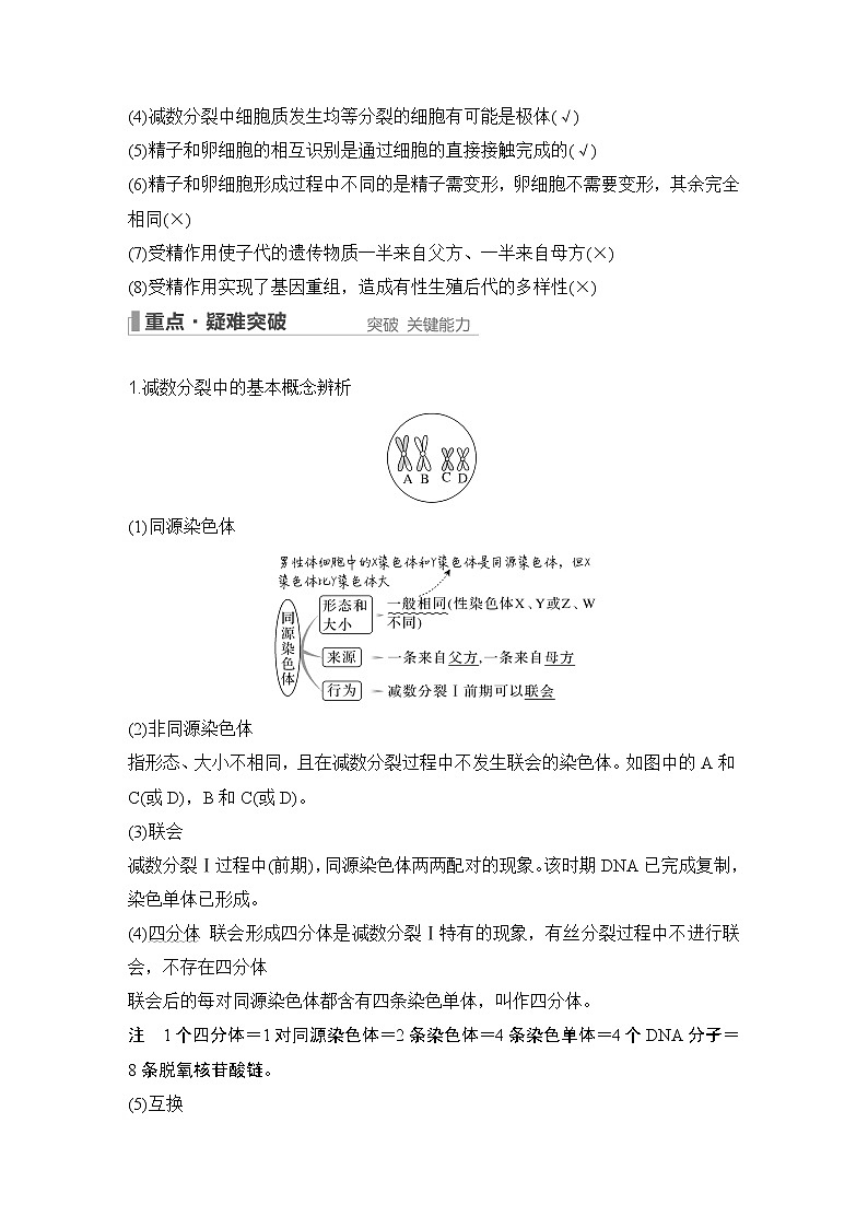 2023版创新设计高考生物（新教材人教版）总复习一轮讲义第11讲 减数分裂和受精作用第3页